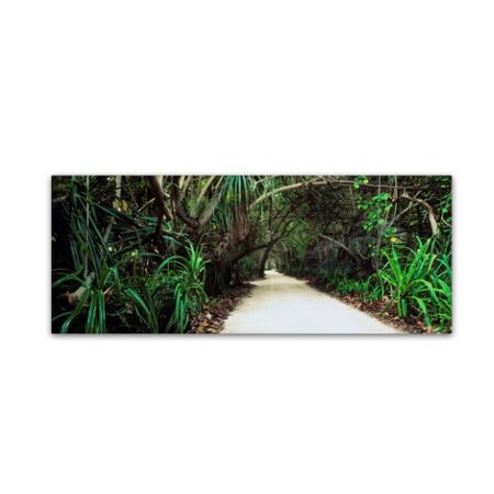 Trademark Fine Art David Evans 'Island Heart-Maldives' Canvas Art, 16x47 DE0105-C1647GG